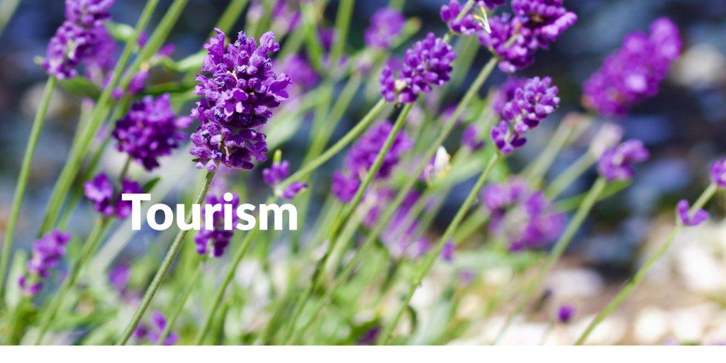 What tourism can do for our local&nbsp;communities?