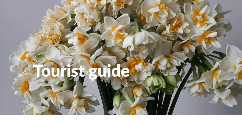 Pandang Tak Jemu (Mangrove as an educational tour destination)