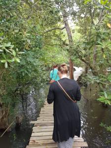Tourists from Finland enjoying the mangrove destination